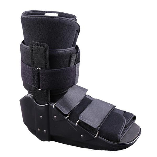 Ferula Bota Walker Corta